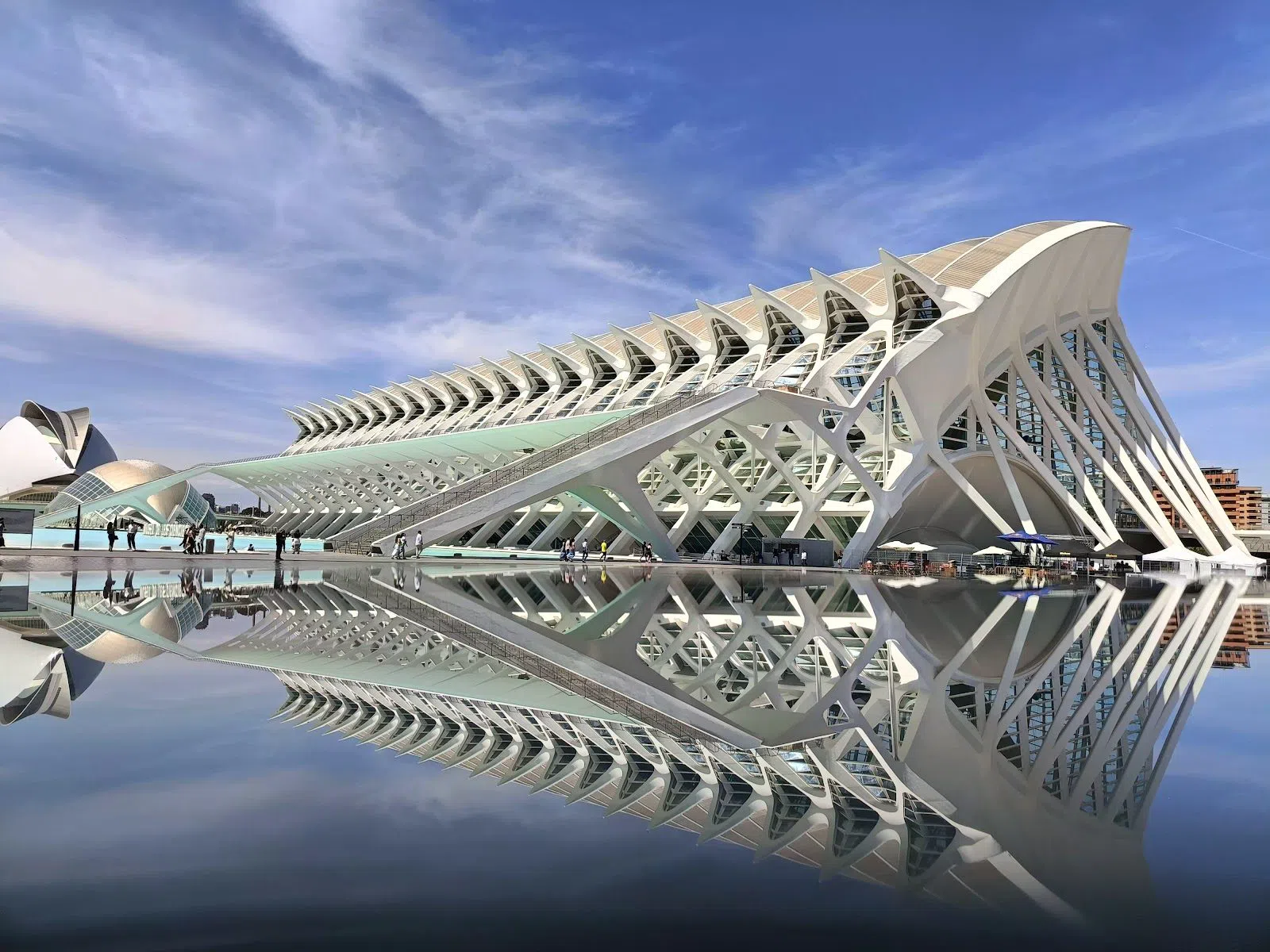 Museu de les Ciències Príncipe Felipe, Valencia